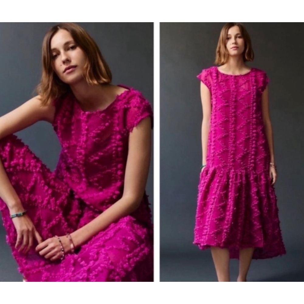 Maeve Anthropologie Blythe Sheer Magenta Pink Floral Tulle Drop Waist Dress P/M